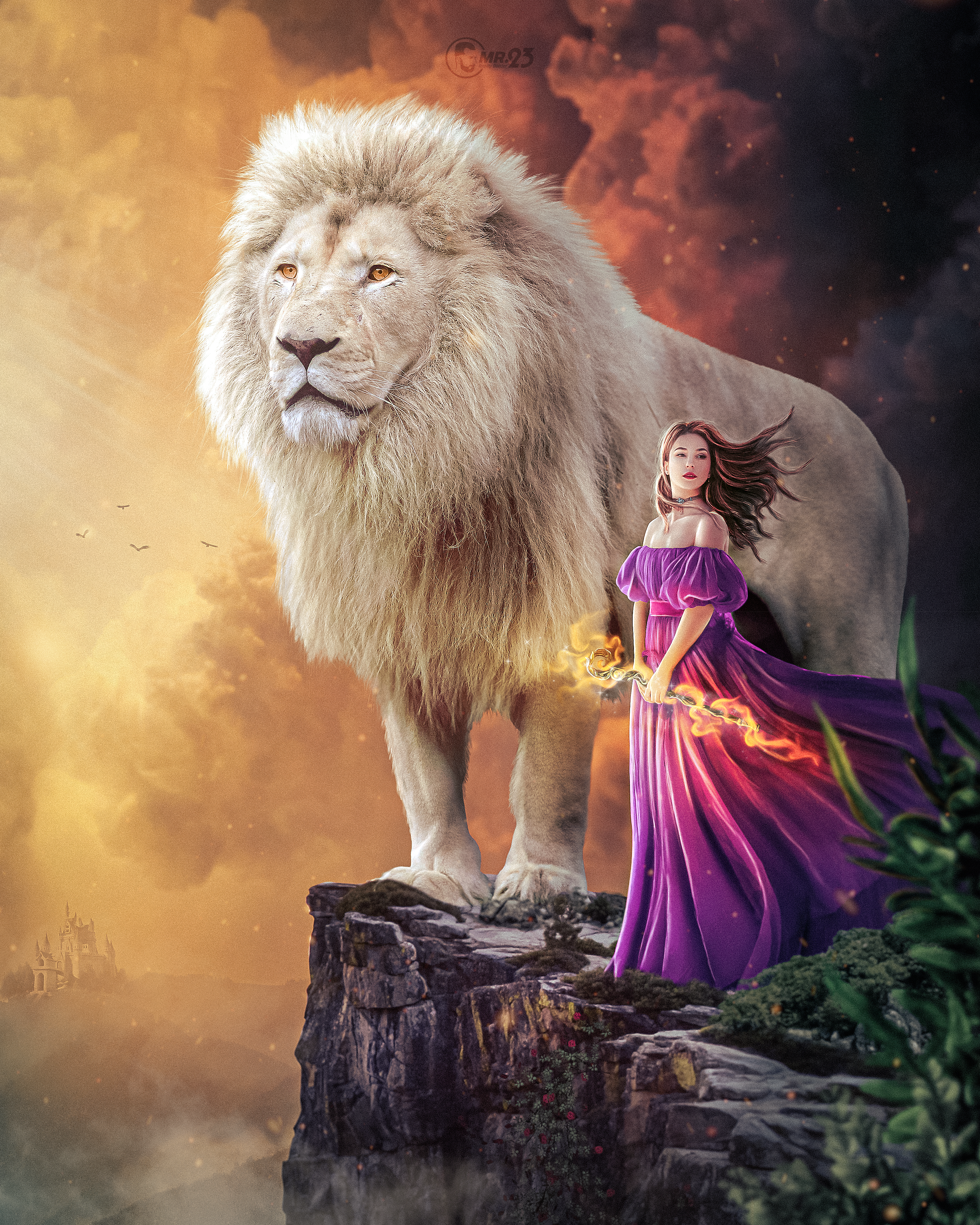 FRAMeWORK - プリンセス☺︎ページ The Princess and the Lion | Foundation