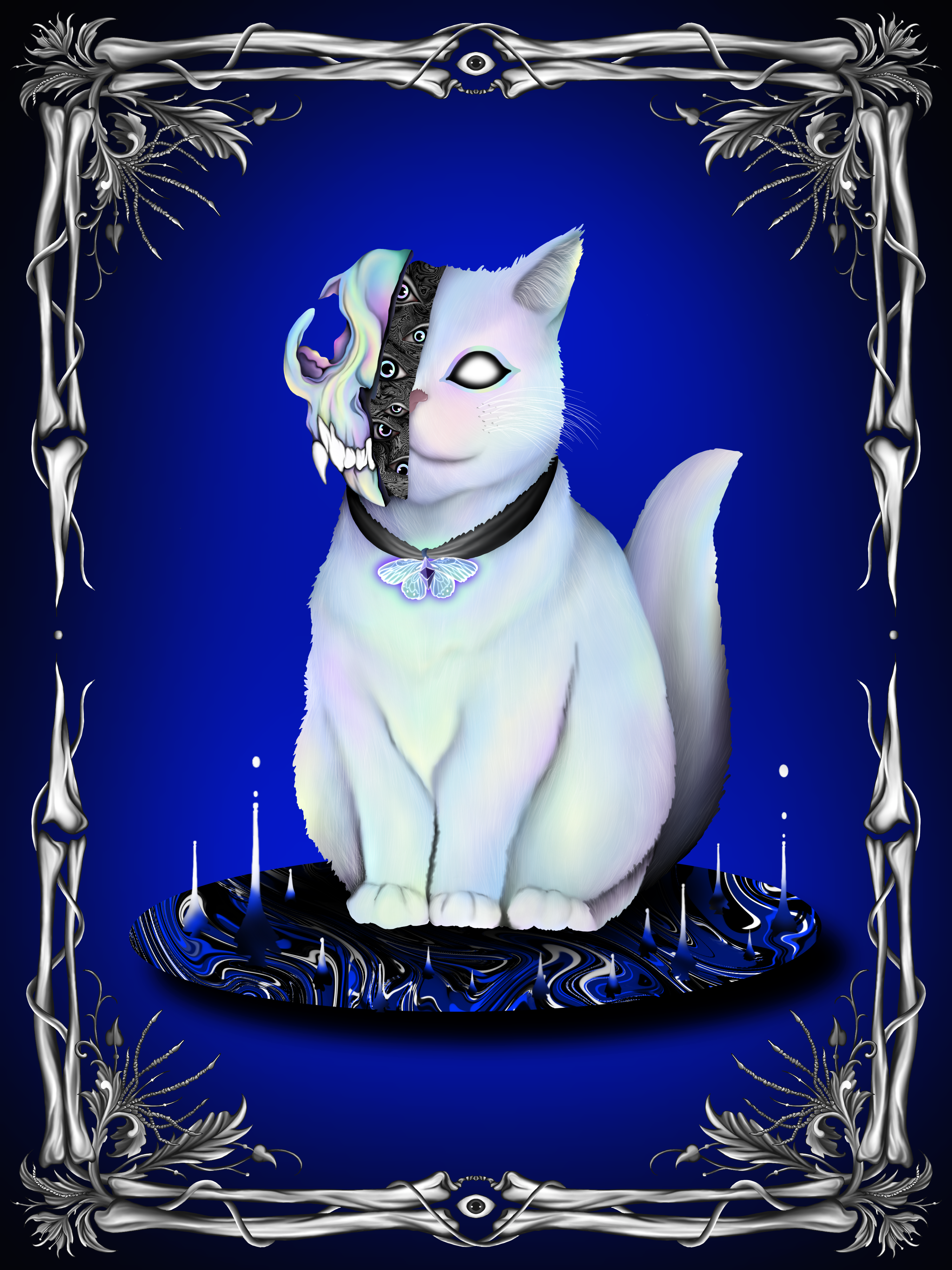 a cat has nine lives