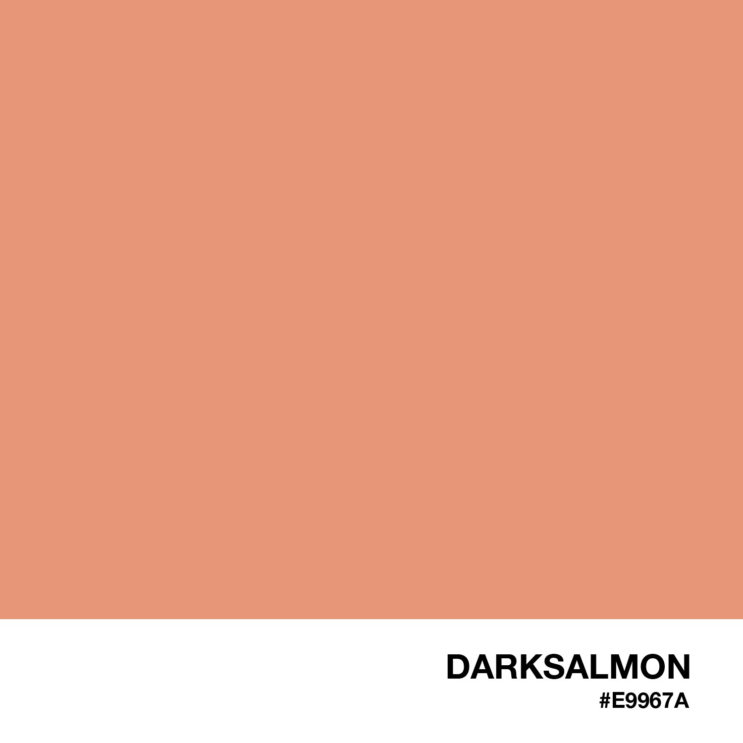 DarkSalmon by ColorBlocks