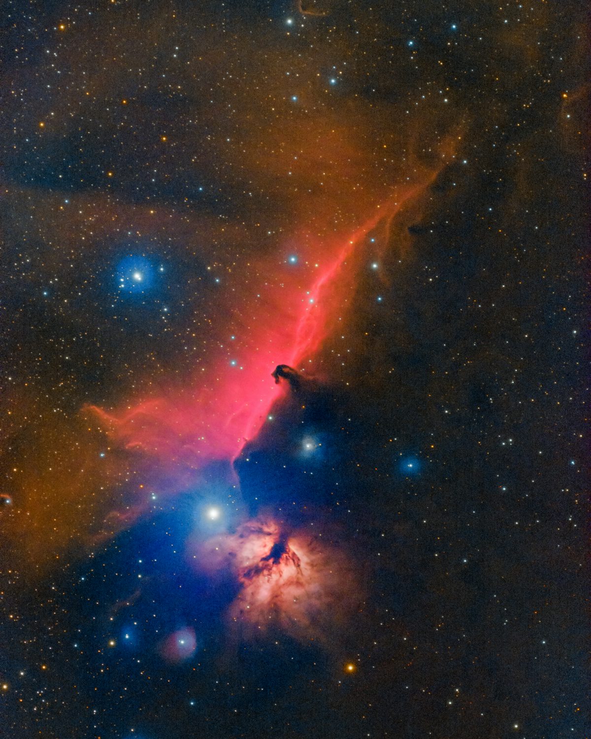 The Horsehead Nebula | Foundation