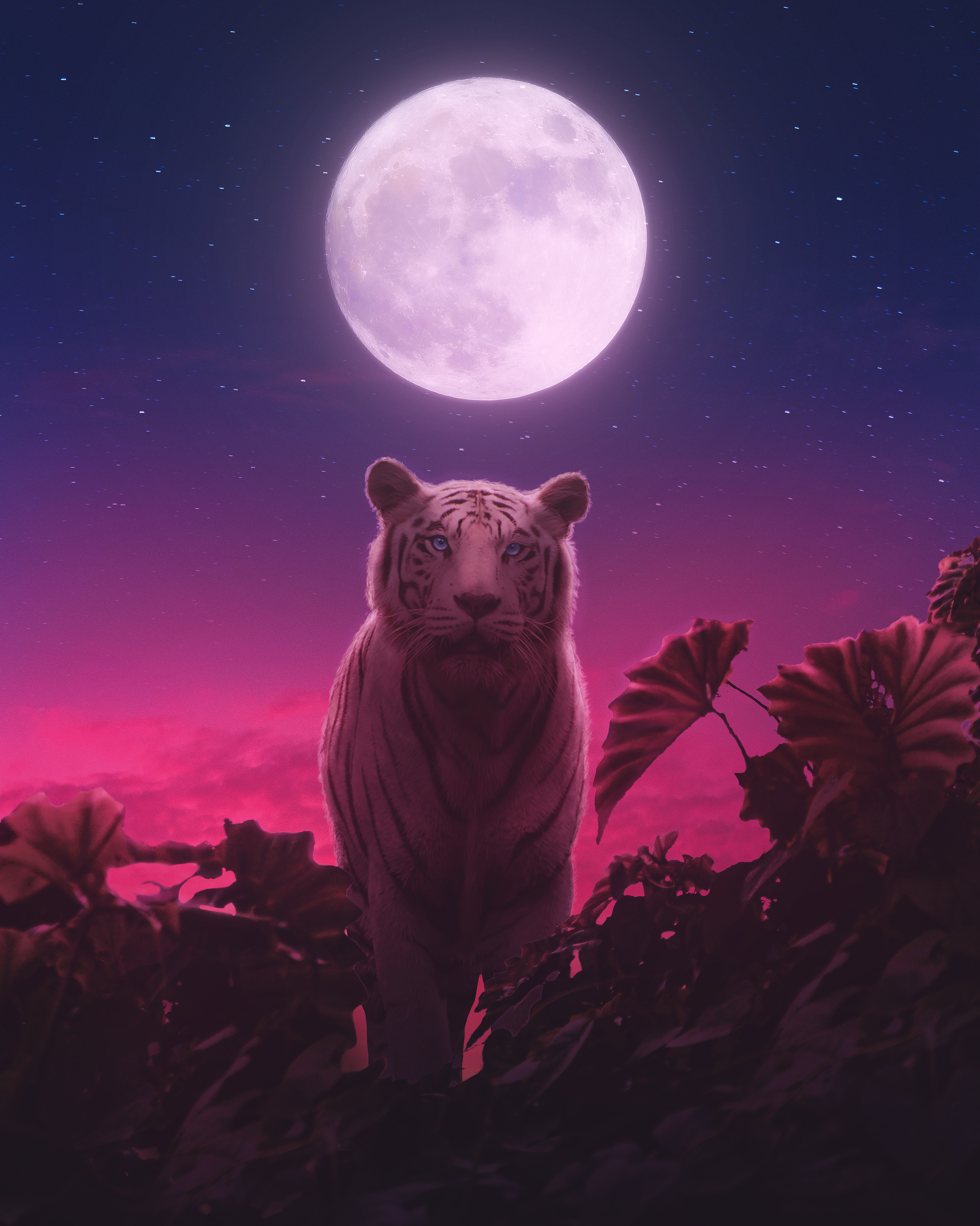 crimson-beast-foundation