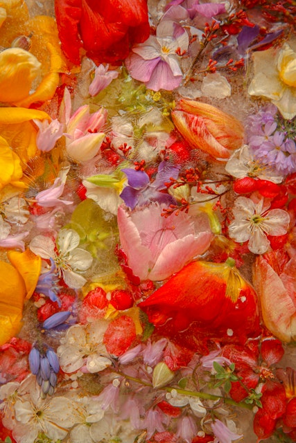 Art of making photographs of flower blocks by Joe Horner is a meditative  journey