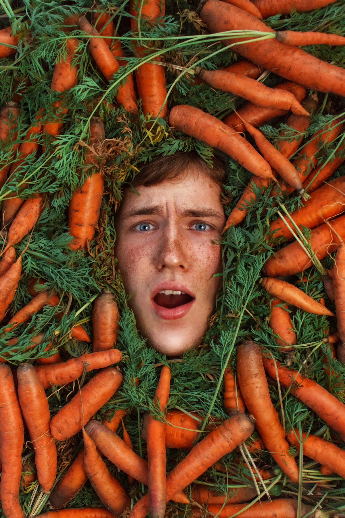 Carrot madness | Foundation