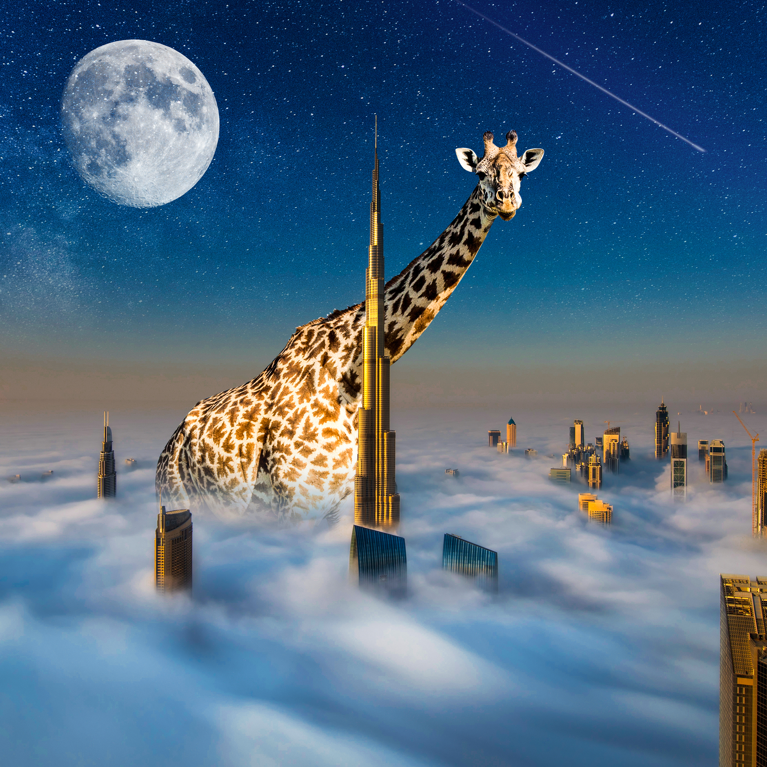 fxxx BONHEUR GIRAFFE