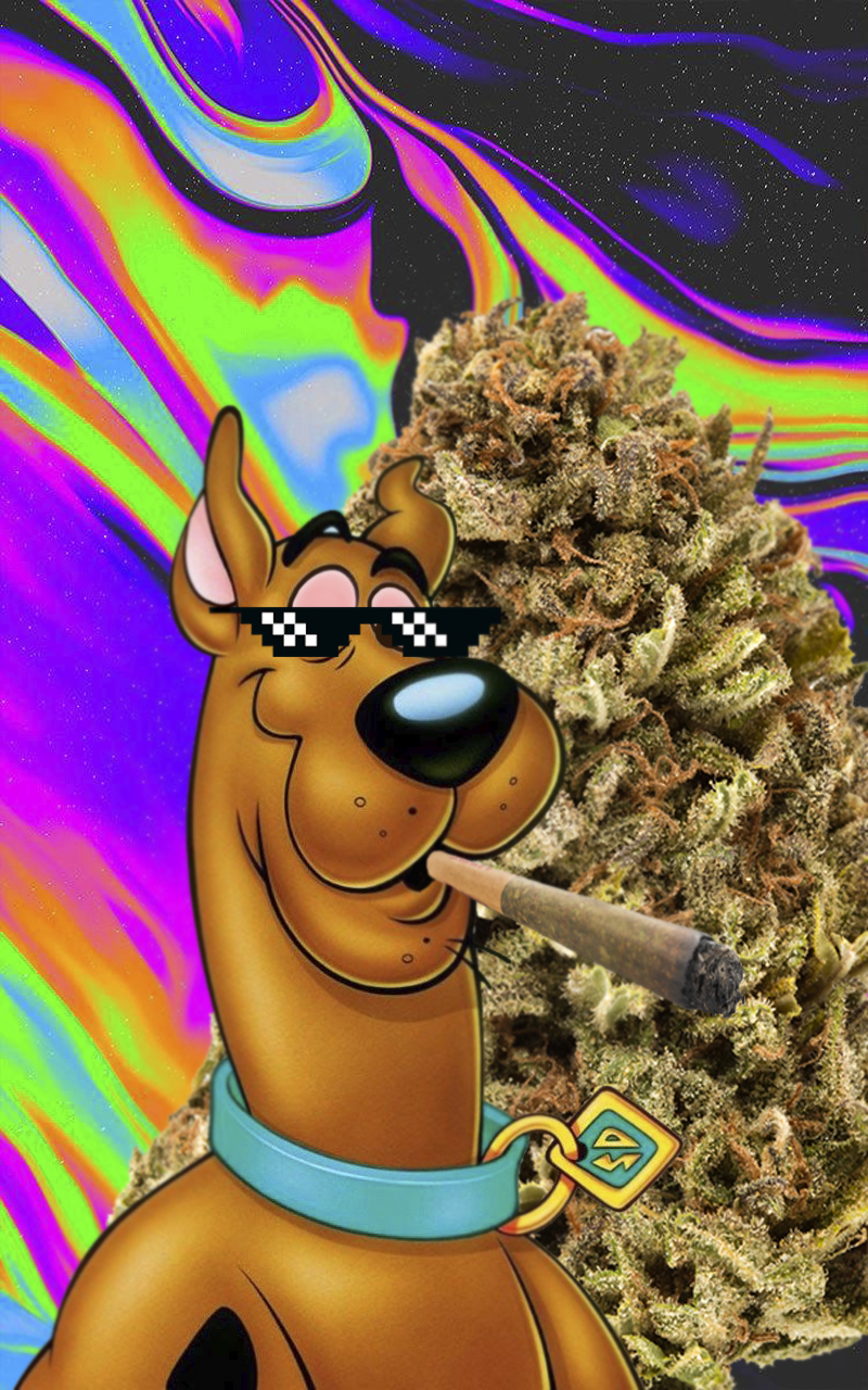 Download Shaggy Rogers And Scooby Doo Wallpaper  Wallpaperscom