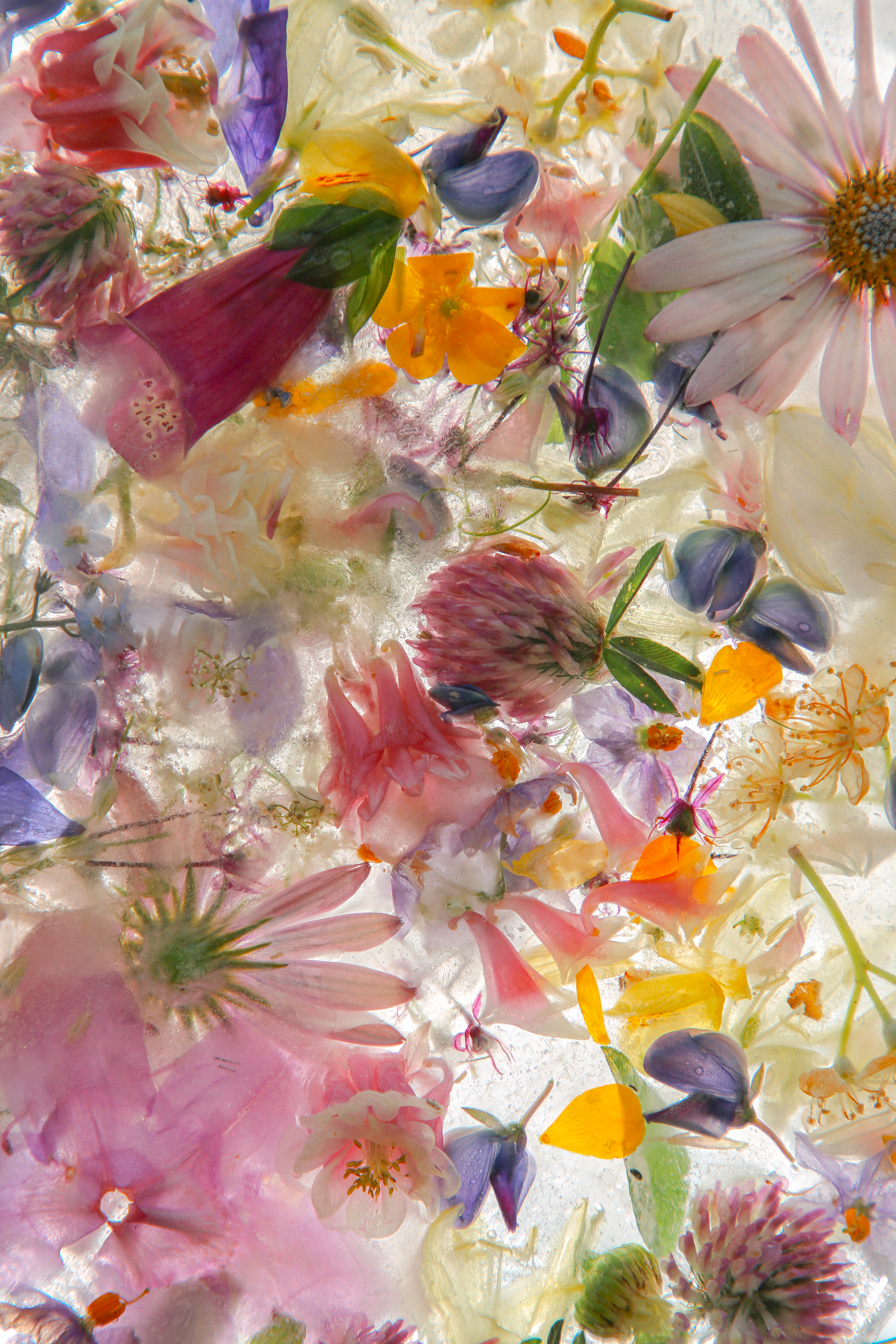 'Refractive' Token | Foundation