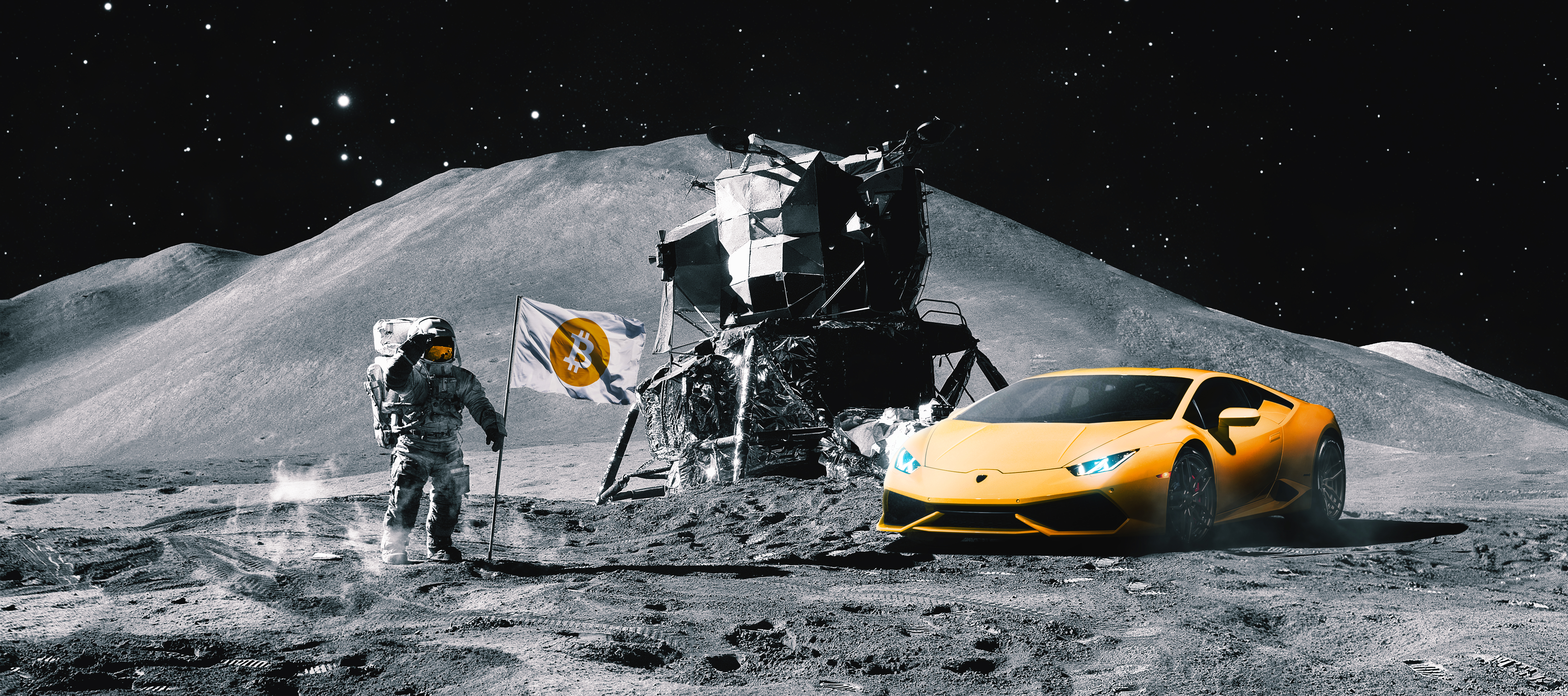 The Lambo Has Landed | Foundation