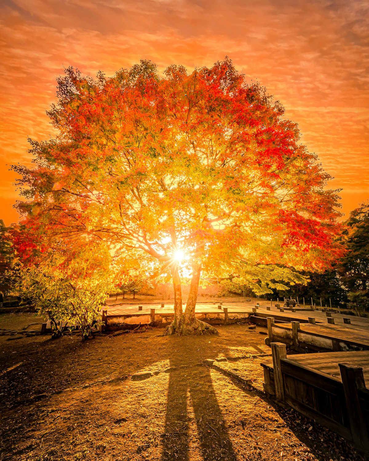 Осенний город солнце красивые картинки