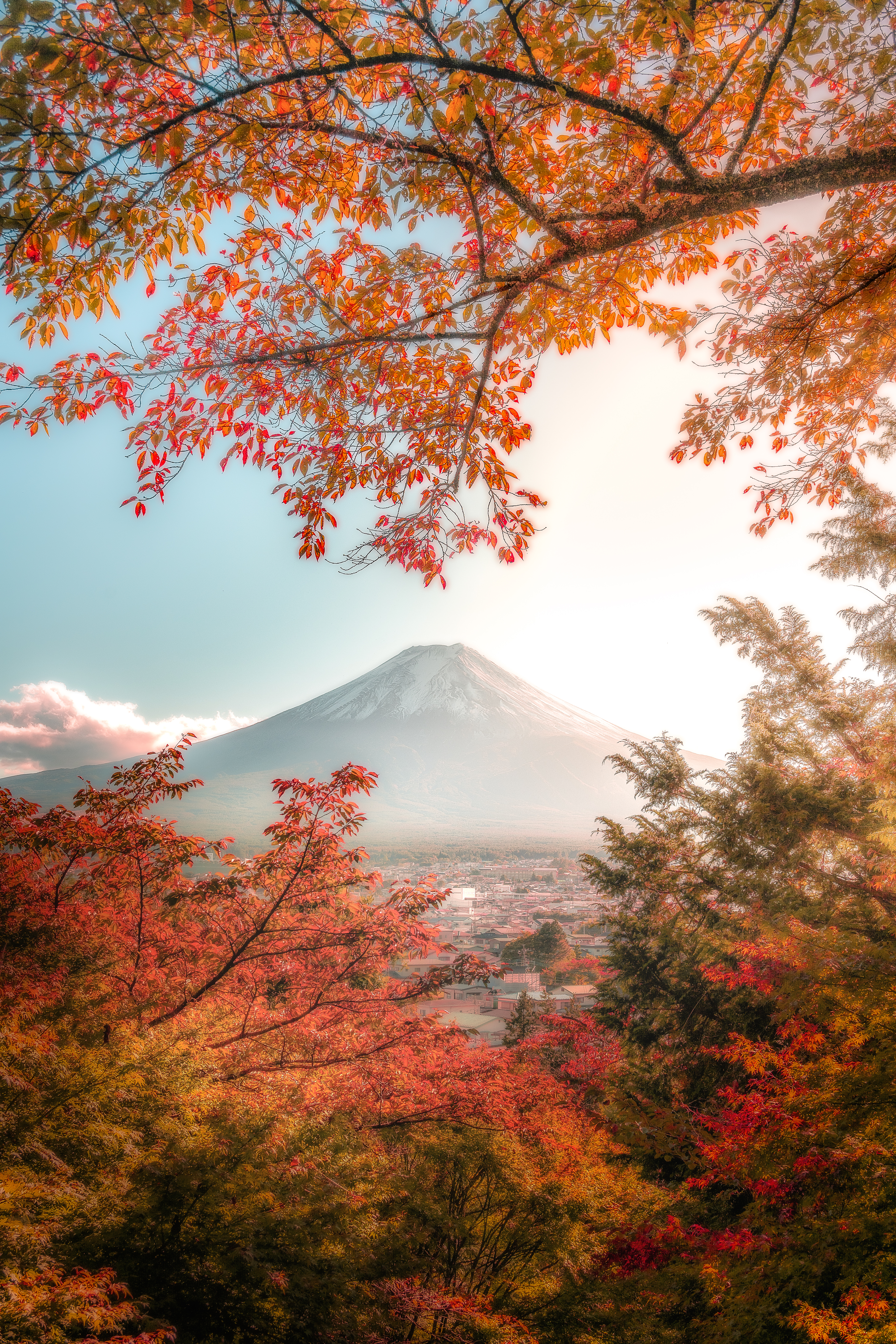 美しき日本の自然the beautiful japan 2023 美しい桜と花の風景34選(4K-HDR) Beautiful Scenery Of