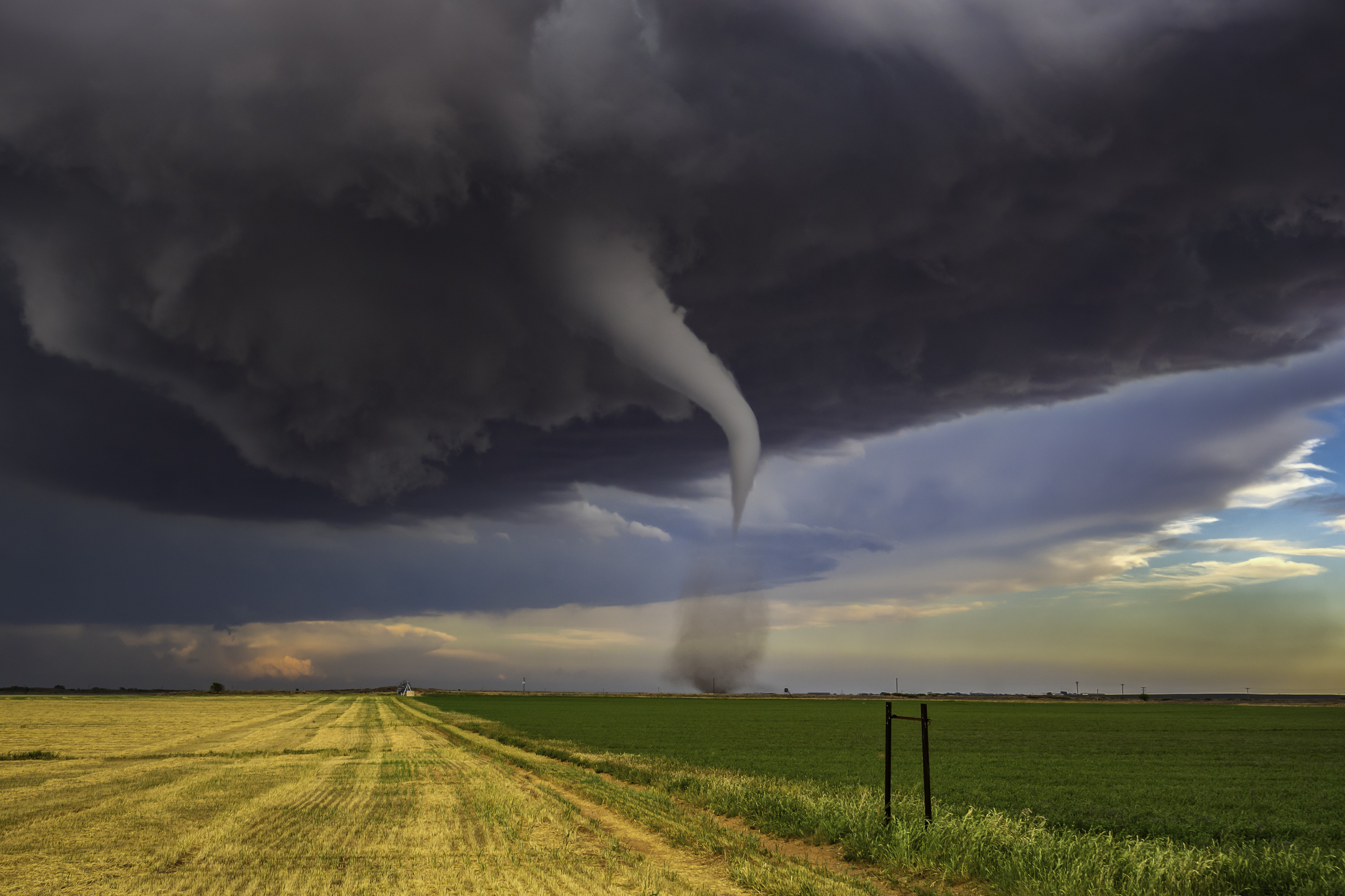 Texas Twister Foundation